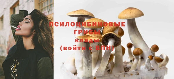 гидра Алексин