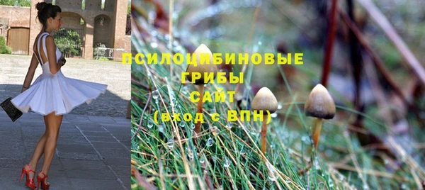 шишки Алзамай